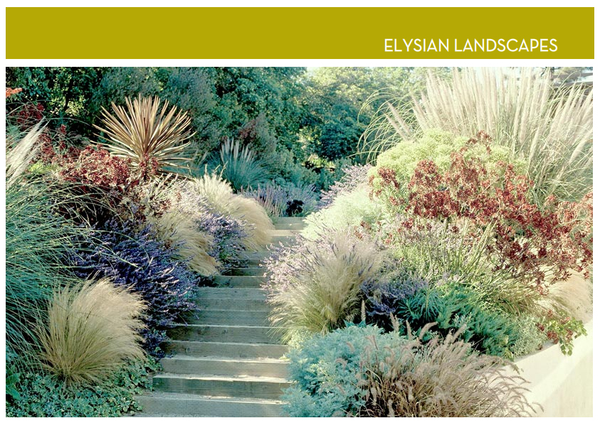 elysian1