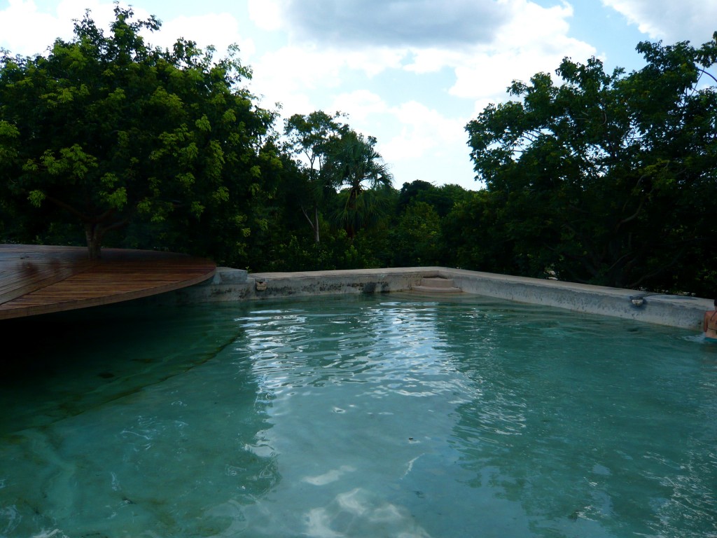 a concrete pool up in the treetops proves too tempting to pass up