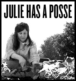 julie-has-a-posse