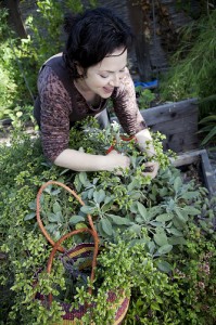 look how happy I am harvesting herbs! this could be YOU! leave a comment to win!